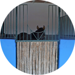 boxes-club-hipico-almayate-lumi-onl-3