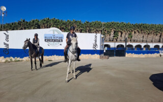 club-hipico-almayate-clases-equitación (5)