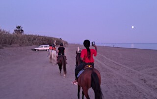 club-hipico-almayate-paseos-a-caballo (1)