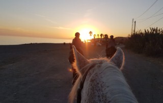 club-hipico-almayate-paseos-a-caballo (3)