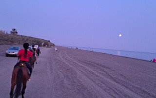 club-hipico-almayate-paseos-a-caballo (4)