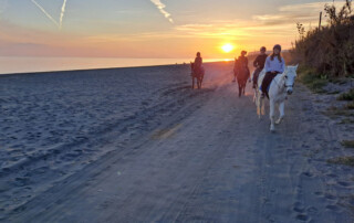 club-hipico-almayate-paseos-a-caballo (5)